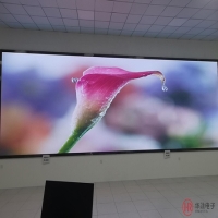 小间距led显示屏多少钱一平？带案例视频